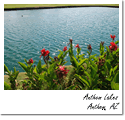 Anthem Lakes