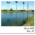 Apache Wells
