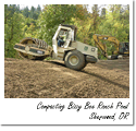 Bizzy Bee Ranch Pond