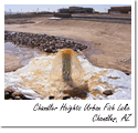 Chandler Heights Urban Fish Lake
