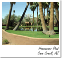 Homeowner Pond