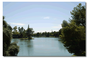 The Lakes Community